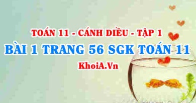 Bài 1 trang 56 SGK Toán 11 tập 1 Cánh Diều